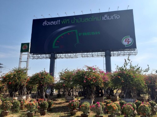 รูปงานป้ายหนองบุญนาก ๒๐๐๒๒๓ 0006