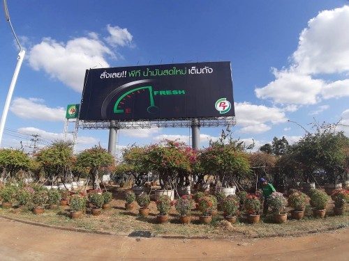 รูปงานป้ายหนองบุญนาก ๒๐๐๒๒๓ 0008