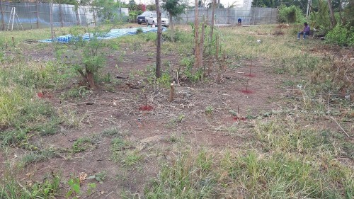 รูปงานป้ายหนองบุญนาก ๒๐๐๒๒๓ 0055